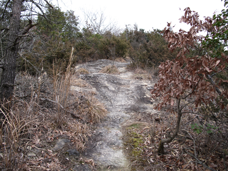 20140125hike (469)
